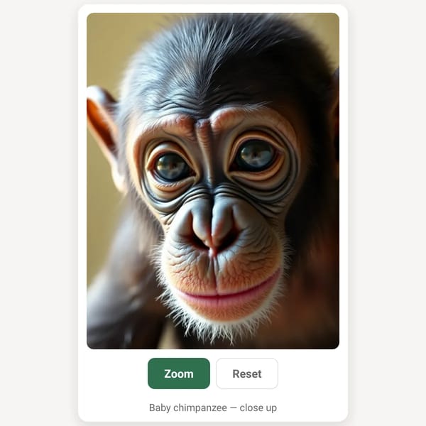ANIMAL, CHIMPANZEE - BABY, CLOSE UP, APE