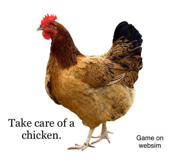 Take Care Of A Chicken