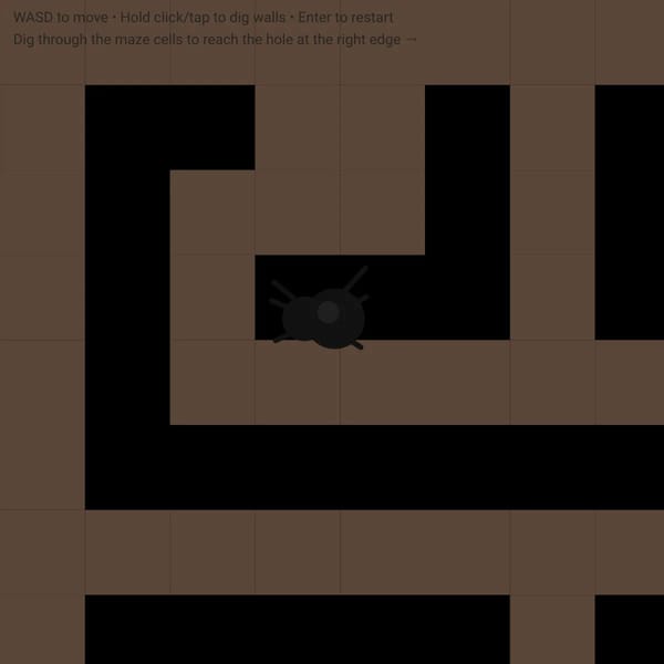 Spider Hole
