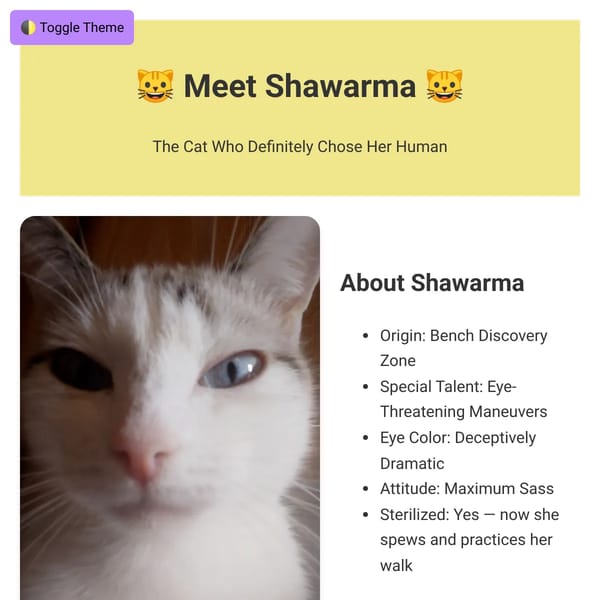 Meet Shawarma