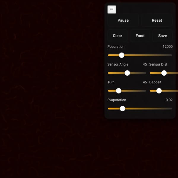 Slime Mold Simulation