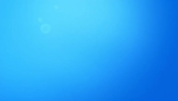Bubble OS