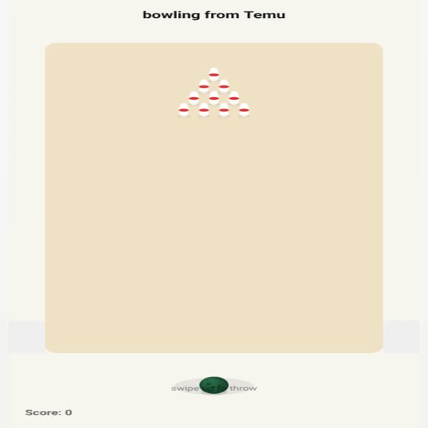 bowling from Temu