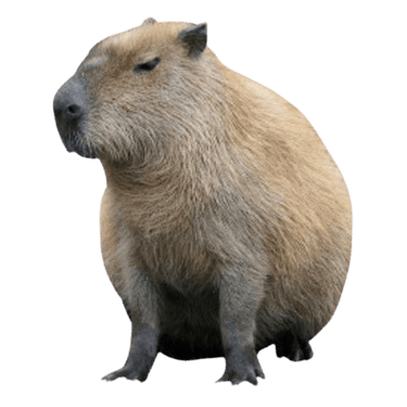CapyOS