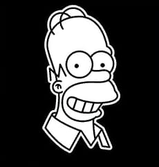 Bart Anger 2