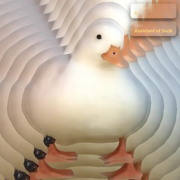duck in a duck