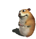 chomik