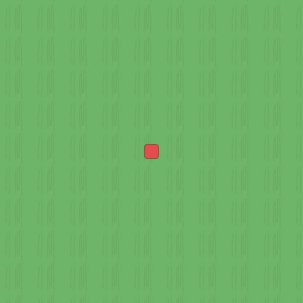Top-down Grass