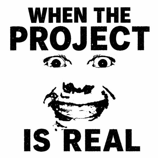 WHEN THE PROJECT IS REAL