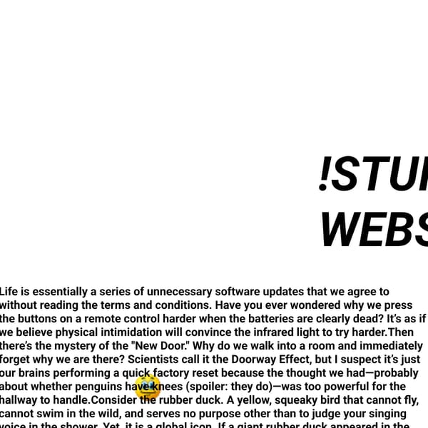 stupid website