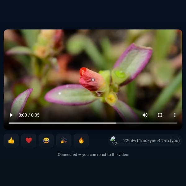 Video Reactor — Collaborative Reactions