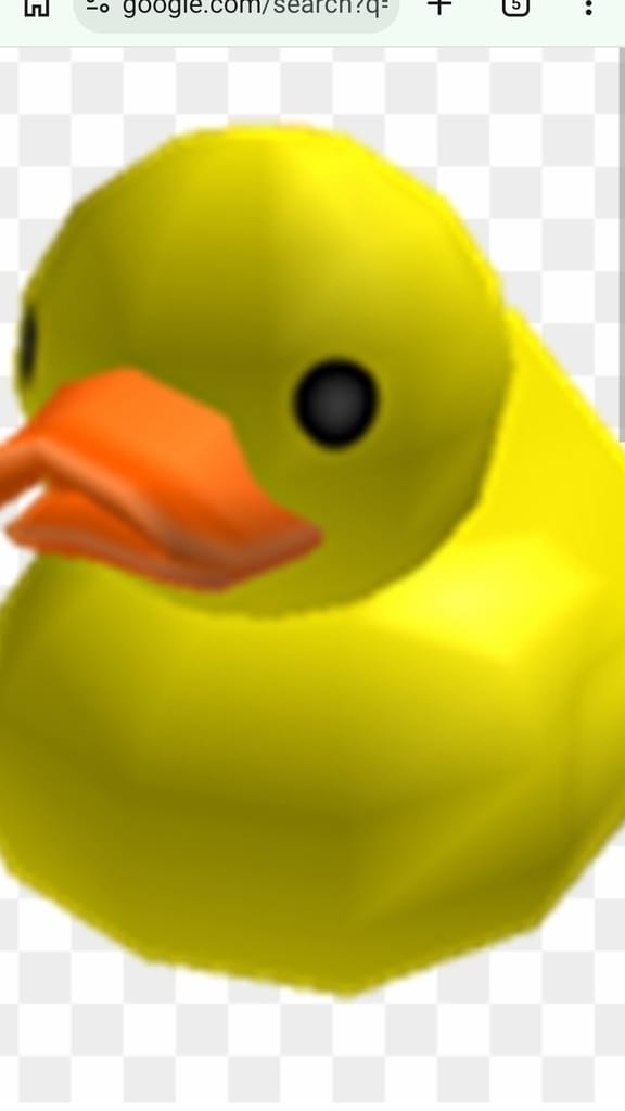 Duck in the Dark