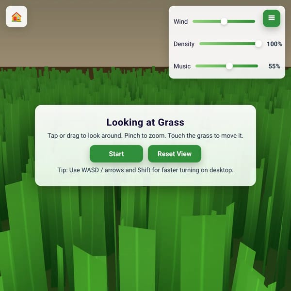 Touching grass experience