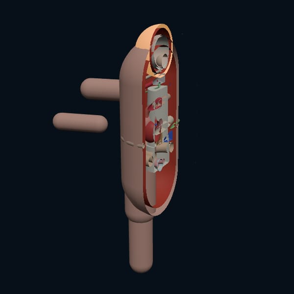 3D Human Anatomy Dissect Model