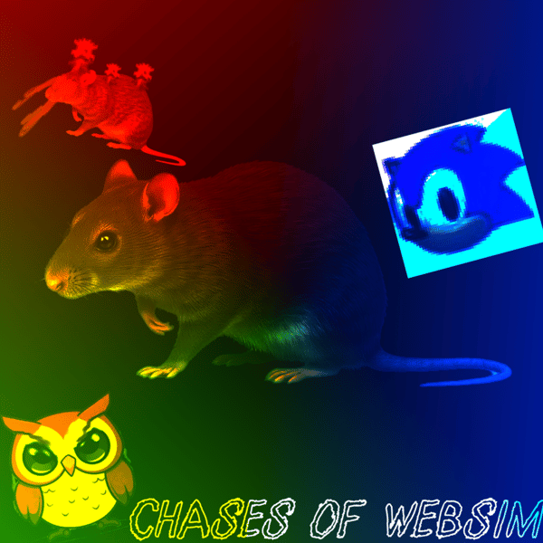 CHASES OF WEBSIM