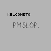 pm slop