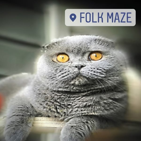 folk maze