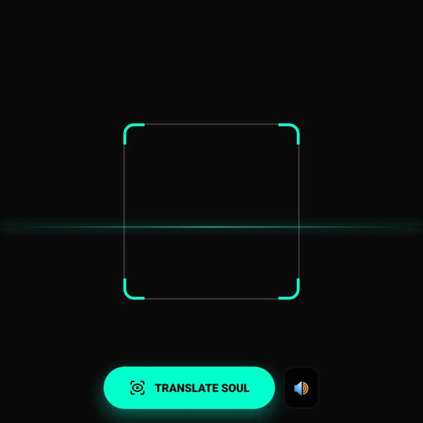 Object Soul Translator