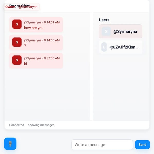 Websim Discord