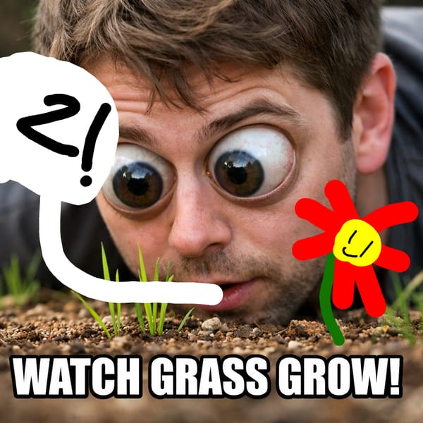 watch grass grow 2.0