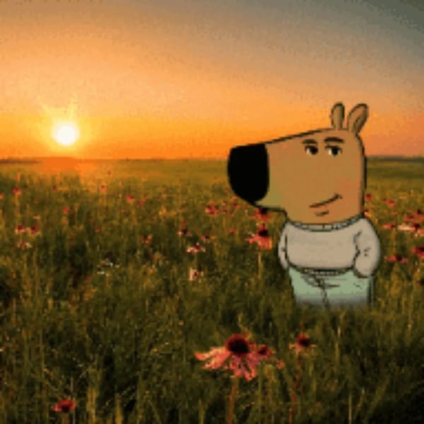 Chill Guy /music and chill