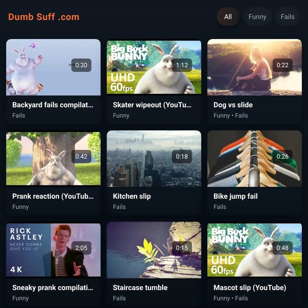 Dumb Suff .com