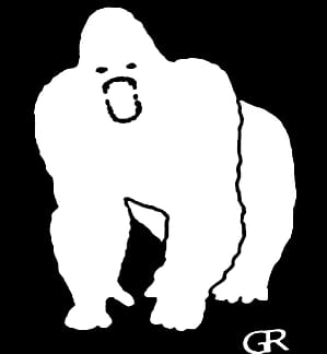 GORYL — Shop Preview
