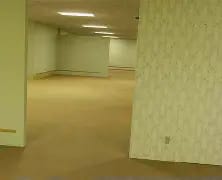 the backrooms-demo