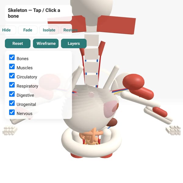 3d body