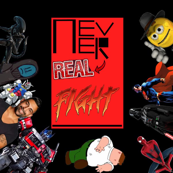 NEVER REAL FIGHT