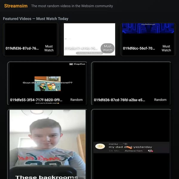 Streamsim