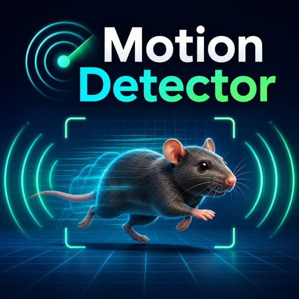 Motion Detector