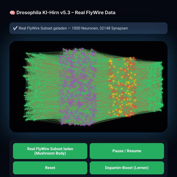 🧠 Drosophila KI-Hirn v5.3 – Real FlyWire Data Import