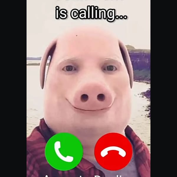 Jhon Pork is calling...