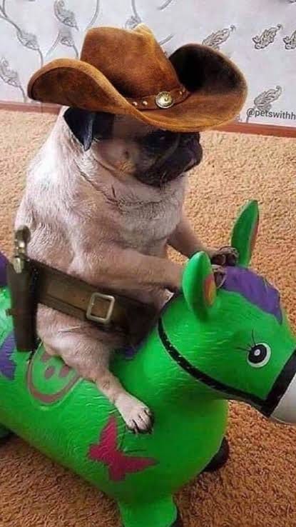 Bane of Sherif Pug