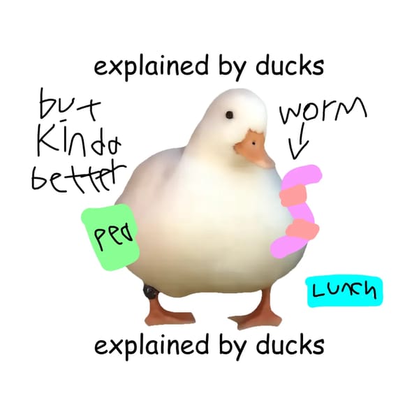Explained by ducks lunch update