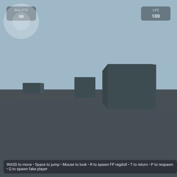 First person Ragdolls [MULTIPLAYER]