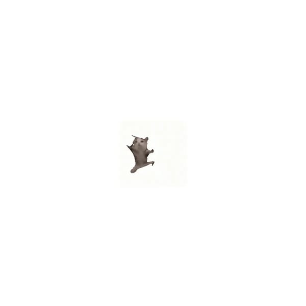 ​