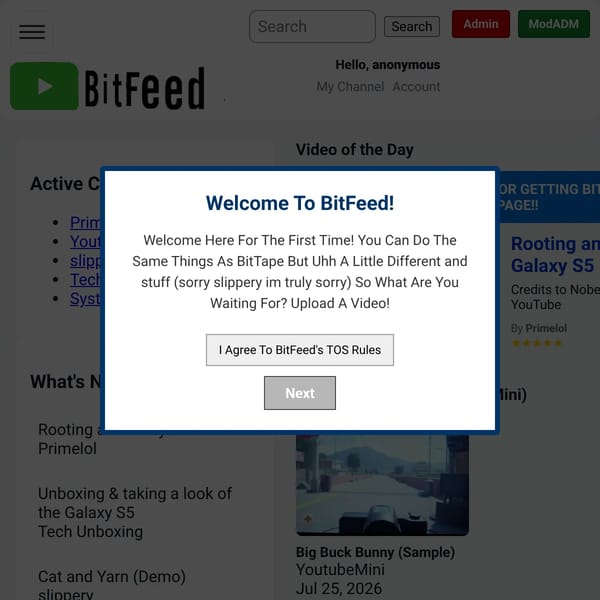 BitFeed 2026 REMAKE!!