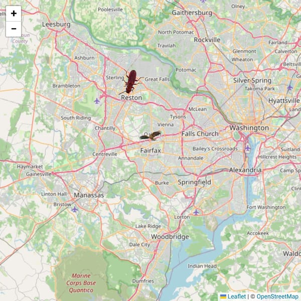 Animal Map