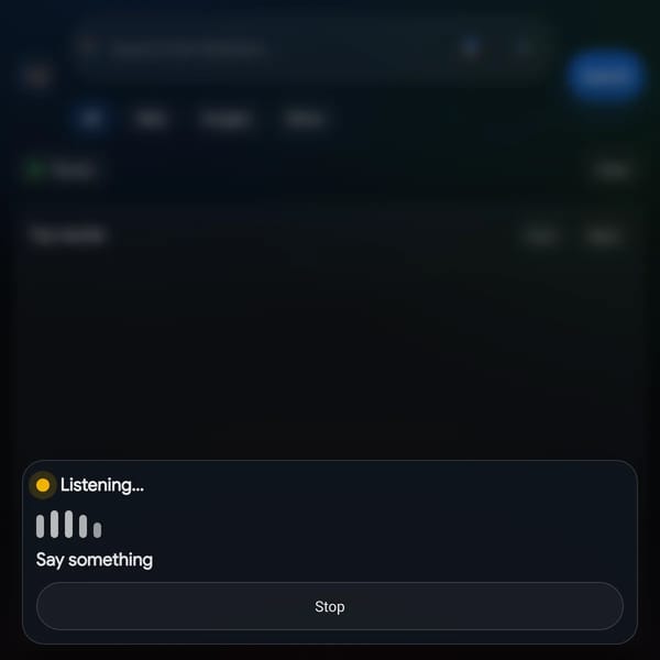 Google Micrphone