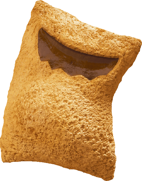 discord but anything can happen