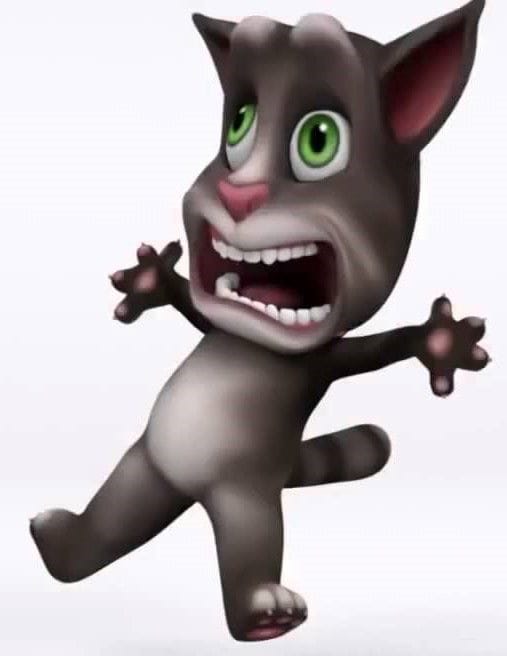 This Talking Tom Game Doesn't Exist