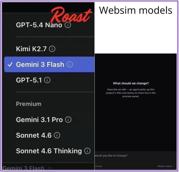 Roast websim models