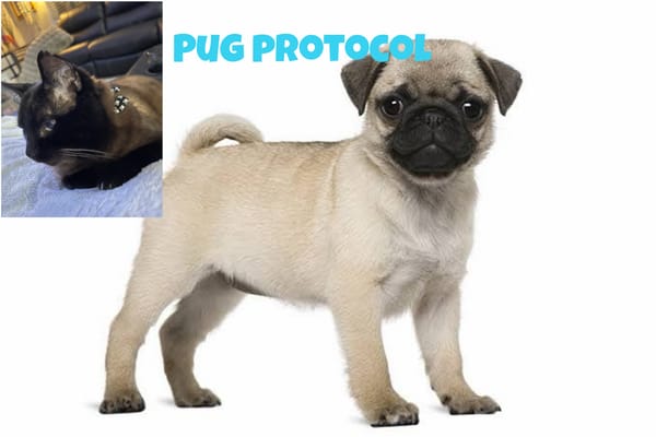Pug Protocol