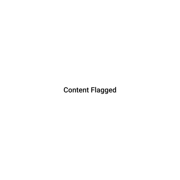 Websim: "Content Flagged"