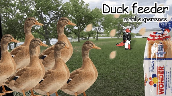 Duck Feeder