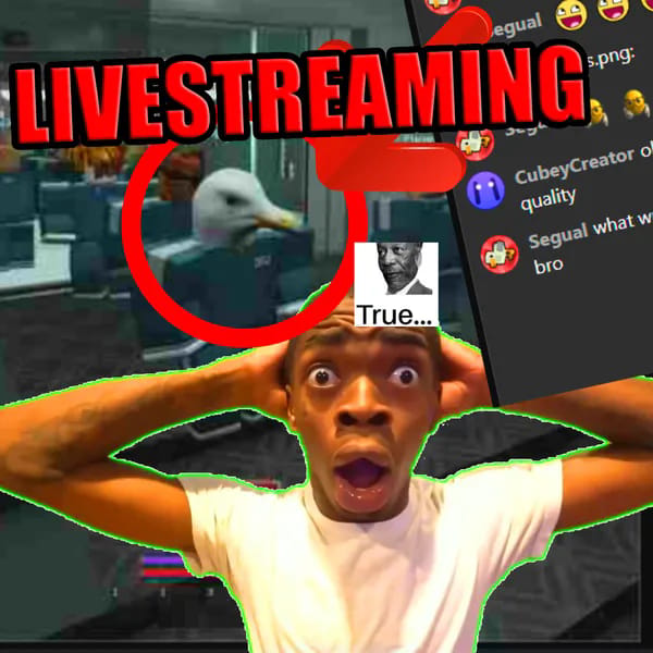 Segual LIVE 🔴