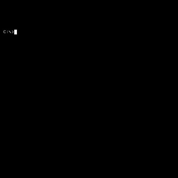 A Working MS-DOS simulator