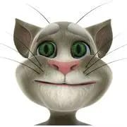 Talking Tom
